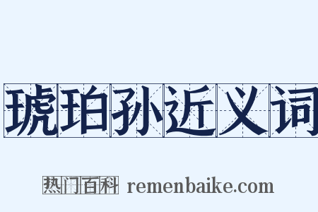 琥珀孙近义词是什么意思的图片